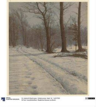Wintersonne