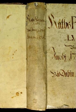 Ratsprotokolle, 1705 Juli 28. - 1706 Juli 24.