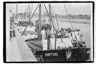 Hartwig (1931), Harry Schütt, Hbg