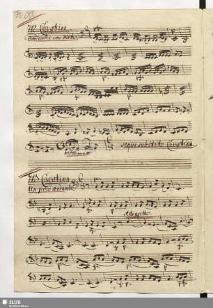 713. Cavatina: La mia amorosa hà un volto / Naumann, J.G.