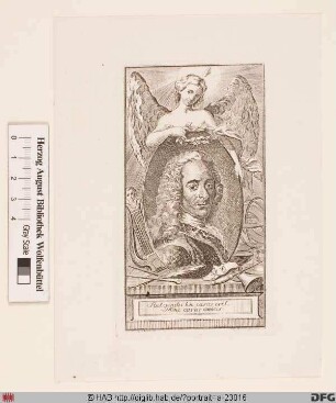 Bildnis Voltaire (eig. François-Marie Arouet)