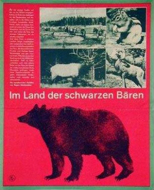Kanada - Im Land der schwarzen Bären