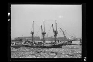Godewind