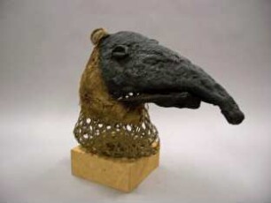 Tapir