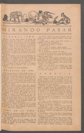 Mirando pasar