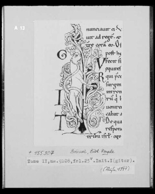 Ms 9108, fol. 25v: Initiale I