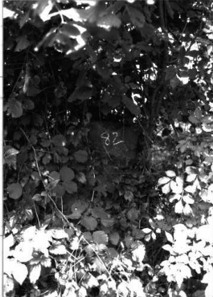 Grabstein 82 (Index: 99891670) Material: Sandstein Zustand: Fragment: Grabstein 82