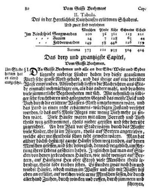 Das drey und zwantzigste Capitel, Vom Stifft Brehmen