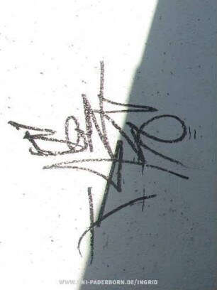 BONZe"