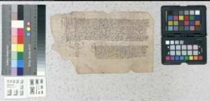 Eidesleistung des Dr. Heinrich Manegold als Propst.