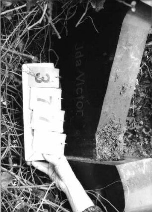 Grabstein 377 (Index: 100093457) Maße HxBxT: 58x225x14 cm Besonderheit: Doppelgrab für Eheleute: Grabstein 377A