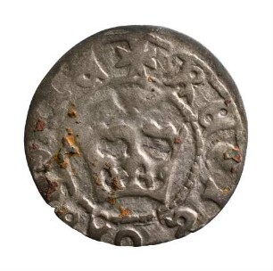 Münze, Kwartnik, 1492/1501