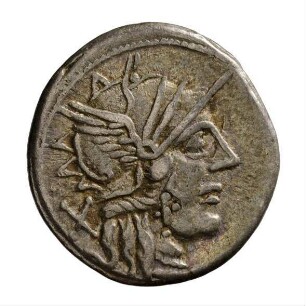 Münze, Denar, 121 v. Chr.