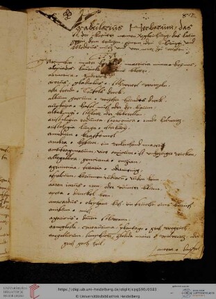 [Hans von Gersdorff,] Wundarznei (Ausschnitte)