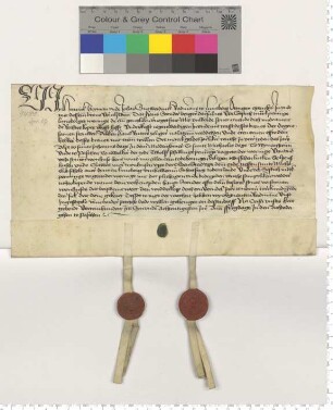 Hausrentebrief. Besiegelt von den Ratsmannen Hinrick Hoyman und Johann Snewerdinck; Hans Stender "uppe der Olden stad uppe dem orde neffen sunte Michaelis schole over", zwischen Solszenszhusen und Clawes More.