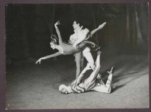 Der Feuervogel (Igor Stravinsky)
