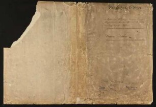 Die Bewegung im Kanton Dahn Untersuchungsakten und Beweisstücke