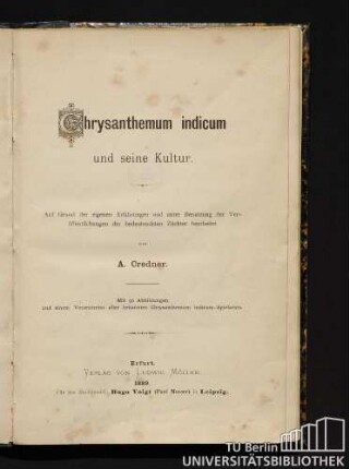 Chrysanthemum indicum und seine Kultur : auf Grund der eigenen Erfahrungen und unter Benutzung der Veröffentlichungen der bedeutendsten Züchter bearbeitet ; mit einem Verzeichniss aller bekannten Chrysanthemum indicum-Spielarten