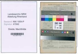 Entnazifizierung Mechthilde Dreide , geb. 20.04.1912 ()