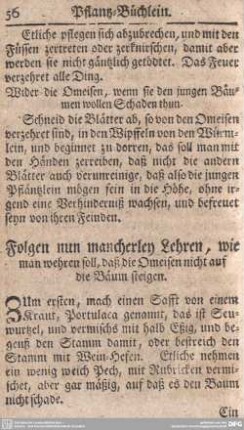 Folgen nun mancherley Lehren, wie man wehren soll, daß die Omeisen nicht auf die Bäum steigen.
