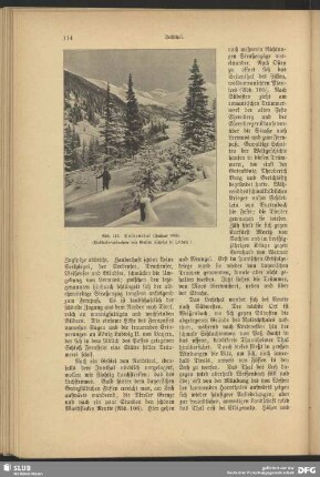 Suldenthal, Januar 1895