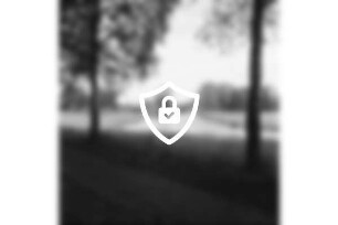 Beste: Kurpark: vorn links und rechts zwei Bäume: hinten Grünflächen und Bäume