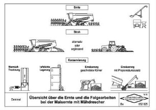 Übersicht über die Ernte und die Folgearbeiten bei der Maisernte mit Mähdrescher