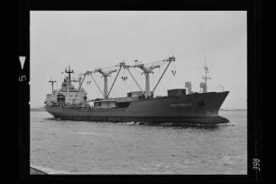 Pritzwalk (1979), VEB Deutsche Seereederei, VEB Deutfracht, VEB Deutfracht - Seereederei Rostock (DSR), Deutsche Seereederei GmbH, Rostock