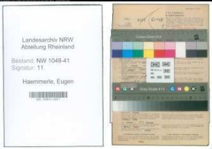 Entnazifizierung Eugen Haemmerle , geb. 02.03.1910 (Feuerwehrmann)