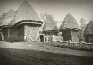 Banssu, Nordwest-Kamerun. Frauenhäuser und Speicher (Holzgitterwerk mit Lehmbewurf, grasgedeckte Kegeldächer).