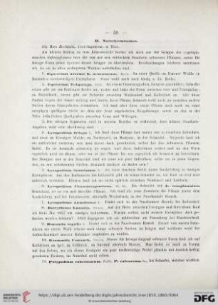 B. Naturhistorisches