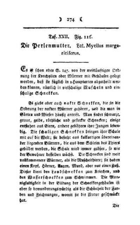 ¬Die¬ Perlenmutter : Taf. XXII, Fig. 116