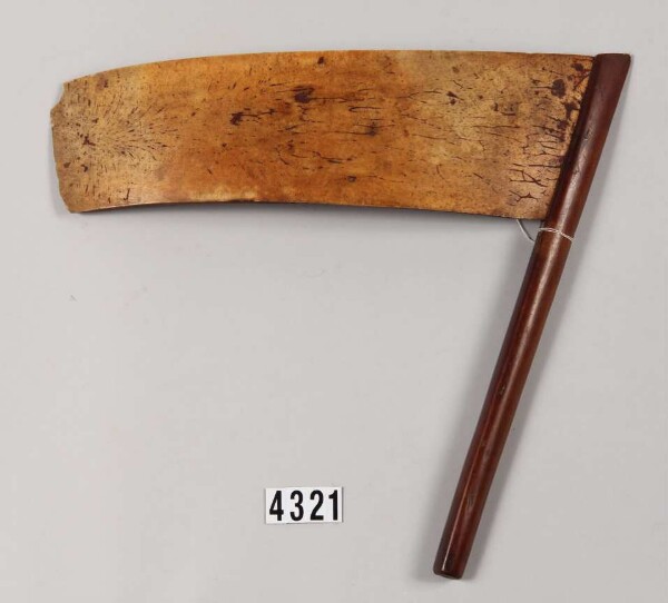 Taro hatchet