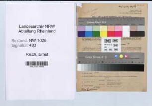 Entnazifizierung Ernst Risch , geb. 02.12.1888 (Steuersekretaer)