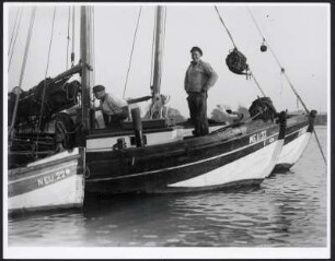 Altes Land. Drei verankerte Segelboote
