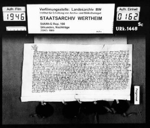 Gräfin Sophia von Wertheim, Tochter des + Grafen Michael, verzichtet gegen ein jährliches Leibgeding von 30 fl. auf väterliches und mütterliches Erbe.