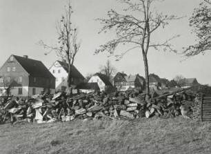 Geklaftertes Stubbenholz zwischen Vogelbeerbäumen am Ortsrand von Zinnwald-Georgenfeld
