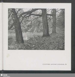 Schlosspark Haseldorf (Niederelbe)