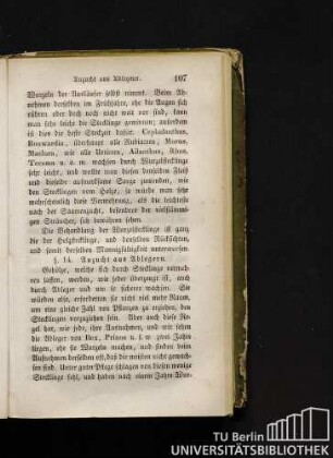 § 14. Anzucht aus Ablegern.
