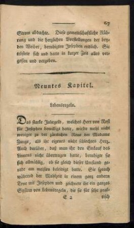 Neuntes Kapitel. Lebensregeln.