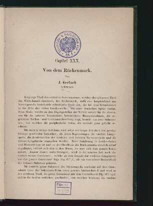 Von dem Rückenmark