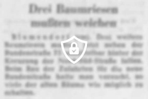 Drei Baumriesen mußten weichen