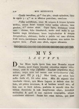 MVS LAGVRVS