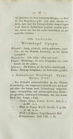 VIII. Gattung. Wiedehopf. Upupa