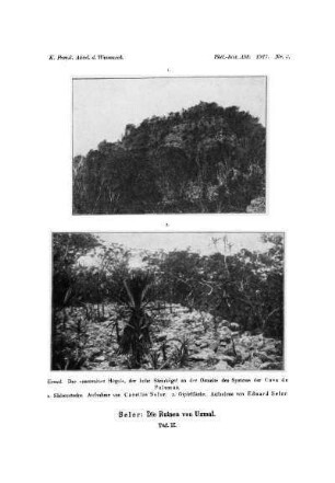 Taf. II. : Uxmal. Der "namenlose Hügel", der hohe Steinhügel an der Ostseite des Systems der Casa de Palomas. 1. Südwestecke. Aufnahme von Caecilie Seler. 2. Gipfelfläche. Aufnahme von Eduard Seler.