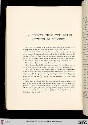 § 14: Objects from the outer network of mummies