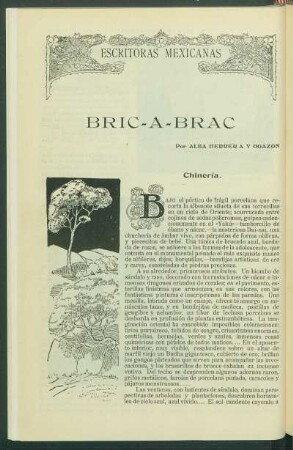Escritoras mexicanas