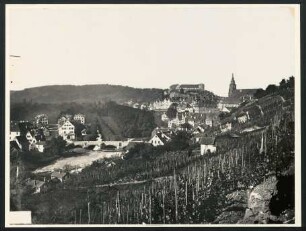 PB 6004, Blick vom Österberg nach Westen mit Stiftskirche und Schloß. Foto Sinner (vor 1875)