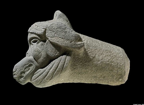 Stone head