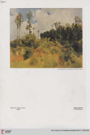 Heft 11/12 (März 1918)